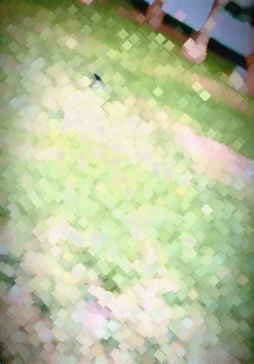 nitus_vlogventure on TikTok