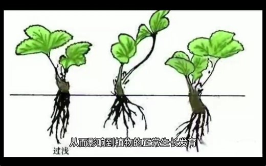 物联网智慧农业设施--传感器