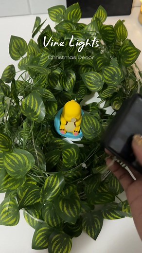 2.3K views · 47 reactions | Hello Santa 殺 Solar Powered 10m LED Vine Lights Gold Foil Copper Wire Lights Restaurant Tabletop Decoration Artificial Ivy Greenery Leaf String Lights Christmas Decoration Courtyard Garden Decoration #christmas #vinelights | HUE.matter | Facebook