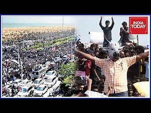 Massive Crowd At Marina Beach Increases As Jallikattu Protests Escalate