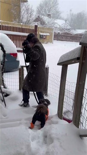 The world softens when it snows