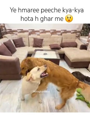 spy prank on reo 🫣 #shorts anant rastogi