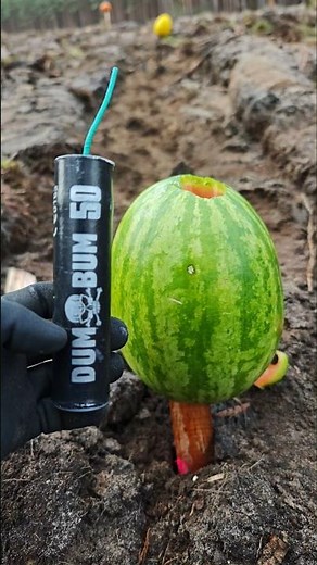 DumBum50 vs Melone 💥 #firecrackers #polenböller #experiment