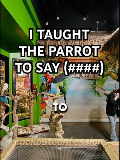 The PARROT Said THIS To Me? #metaglasses #springbreak #animals #prank #funny