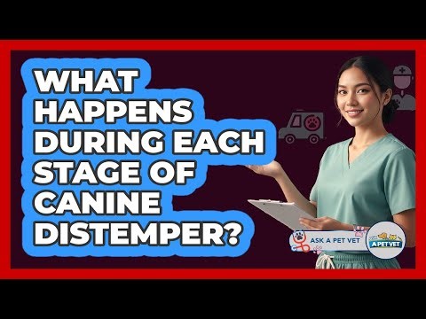 What Happens During Each Stage Of Canine Distemper? - Ask A Pet Vet