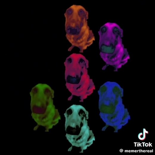 undertale- toby fox - finale