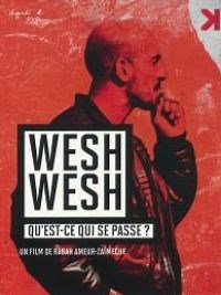 Wesh Wesh, qu'est-ce qui se passe ? - Film 2001 - Cinetrafic