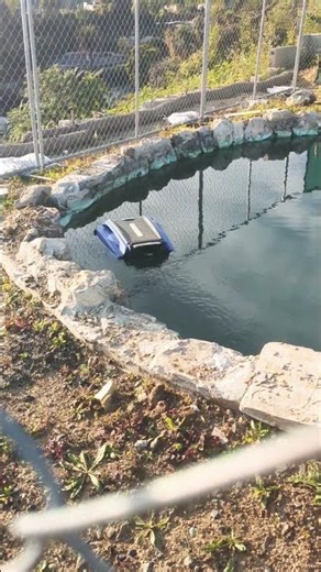 Best Solar Pool Pump In The Palisades 🔥