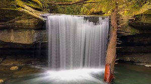There's a beautiful waterfall with a not so beautiful name located in the Daniel Boone National Forest, right down the road from Cumberland Falls State Resort Park. While many visitors ask how 'Dog Slaughter Falls' got its name, the actual answer still remains a mystery. What we do know about this waterfall, is that the trail leading to it is a must-do for hikers visiting the area. Want to stay a few nights and explore? Plan a trip to Cumberland Falls State Resort Park today at http://bit.ly/2ja