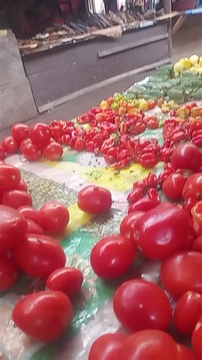 Understanding Today's World: What's Happening?