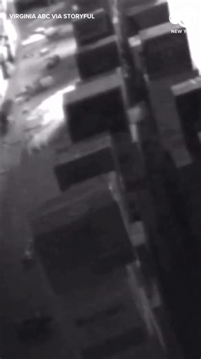 16K views · 79 reactions | Security footage captured the trail of destruction that a “very intoxicated raccoon” left after breaking into a Virginia liquor store. The animal shelter said that the “masked bandit” was safety taken to a shelter after his “liquor-fueled rampage” to sober up and showed zero signs of injury. | ABC7NY | Facebook