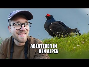 Eine Woche intensiv-Vogelbeobachtung in den Alpen - Der Film