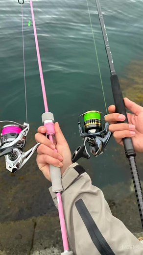 Cómo lanzar la caña de pescar para principiantes