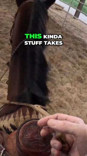 Facing a fear, like snakes, isn't a quick fix. It often requires multiple sessions to gradually overcome. Horses, too, can develop phobias or anxieties from past experiences, leading them to anticipate and avoid certain situations. #Fear #Phobia #Anxiety #OvercomingFear #HorsePsychology | Ed's Walking Horses