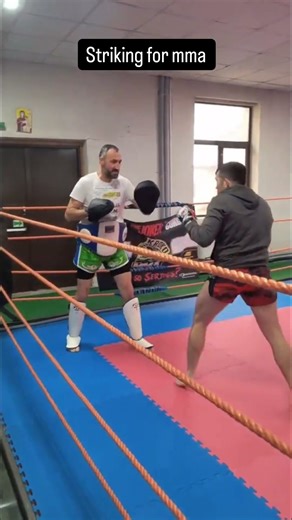 The Truth About MMA Striking – No Bullshit Breakdown #mma #becomethelegend #consistencyisking #box