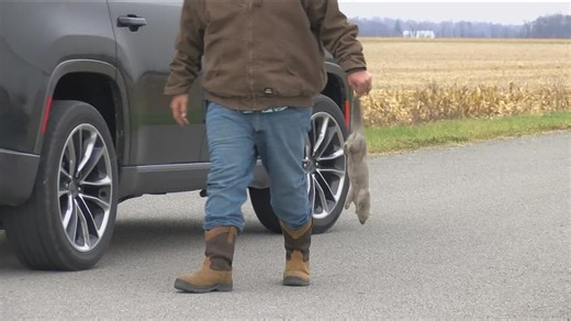 Loose mink cause chain reaction in Van Wert ecosystem, $1.6 million in financial loss