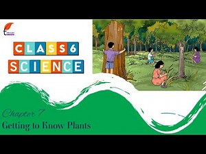 Class 6 Science Chapter 7 Getting to Know Plants in English Medium