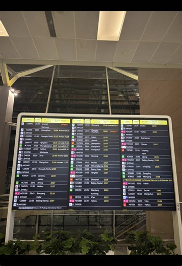 My fav one #travel #southkorea #korea #rec #airport | shanghai