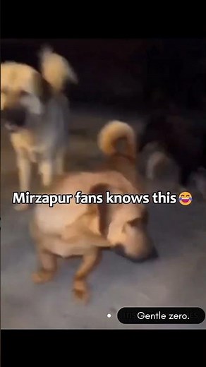 मिर्जापुर fans should watch this🤣#memes #mirzapur #mirzapurmemes