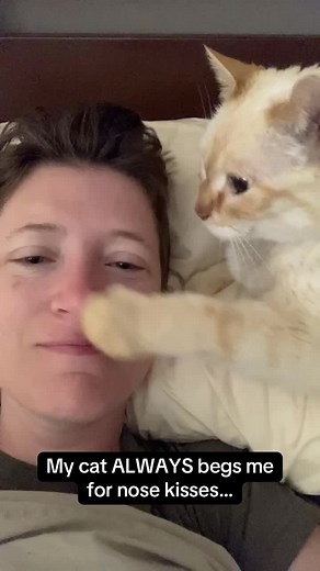 Cat Nose Kisses Compilation | Sweet Moments with My Cat