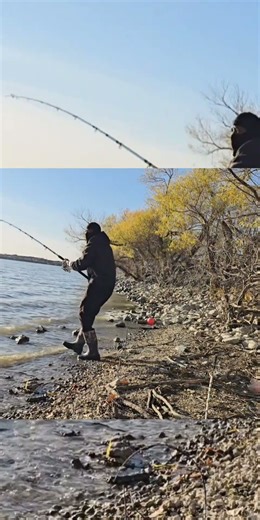 video up Go watch this amazing catch on my page