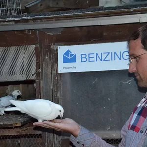 67K views · 926 reactions | BENZING Live GERMANY Nice pictures from fanciers in Germany using BENZING Live to get realtime online results and statistics from their pigeons directly on their Smartphone or Tablet! If you want to be part of our Live! Community contact us or our agents worldwide and get a great deal in 2016 including the BENZING Live! Sign for your loft. www.benzing-live.com | BENZING - Gantner Pigeon Systems GmbH | Facebook