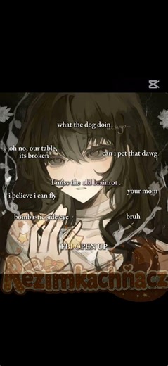 im miss the old brainrot....