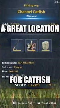 A Great Location To Catch A Diamond Catfish! #gaming #fishing #callofthewildgameplay #cotw
