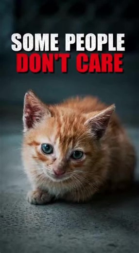 A parody of an animal shelter or cancer kids commercial, but instead of using soft music and sad images to manipulate people, it uses personal attacks on those individuals who haven't yet supported the cause. The tone of the video should be more like a negative political attack ad, that calls people out by name, in the TV ad, with things like 'John Q. Public doesn't believe in saving starving kittens' or 'Jane Doe thinks her daily Starbucks is more important than kids with cancer'. #future #kitt