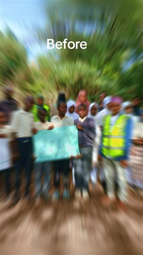 Transforming Risky Trees into Safe Green Spaces