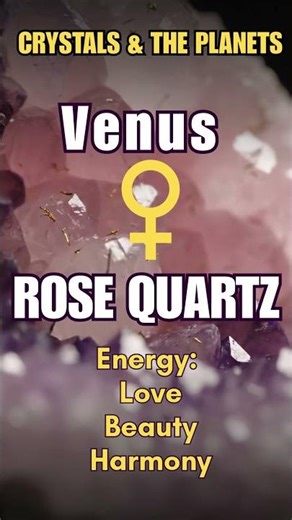 Crystal of Venus | Rose Quartz💗