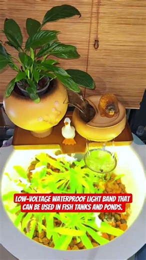 It is easy to install and has color effect .