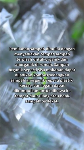 How to properly sort waste at home