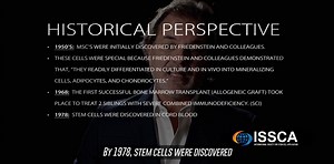 History of Stem Cells | Dr. Alan Gaveck 離溺 ✨ Discover the Fascinating Tale of Stem Cell History! 溺 Dive into this incredible journey with Dr. Alan Gaveck as he unveils the history behind these incredible tiny powerhouses! ✨離 Visit our website and joining us at our next certifications and events! ⬇️ ⬇️ ⬇️ https://www.issca.us/hands-on-practical-certification/ | Global Stem Cells Group | Facebook