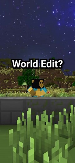 Enhance Your Minecraft Building Experience with Block Info Mod