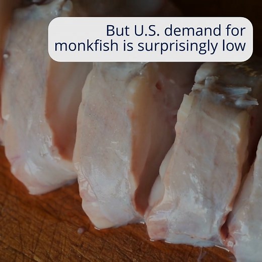 Have you tried monkfish? Monkfish is a great-tasting, sustainable seafood choice that is often compared to lobster. Despite it being caught from Maine to North Carolina, U.S. demand for monkfish is surprisingly low. Many consumers have never even heard of this delicious fish. Our new podcast episode focuses on efforts to increase domestic demand and consumption of the humble monkfish. Listen to the episode to learn how you can add this flavorful fish to your menu: https://apple.co/3M3CNe8 #MonkF