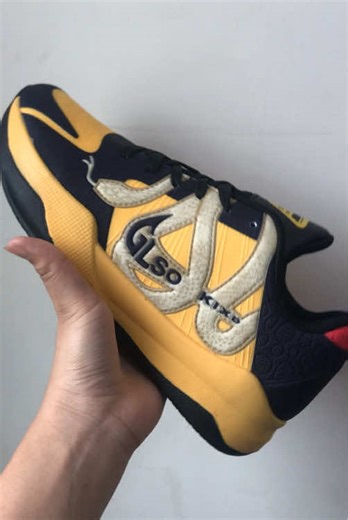 Top Quality Basketball Shoes Review and Recommendations