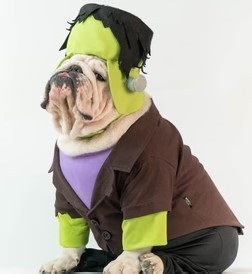 The A-Team movie (2010)