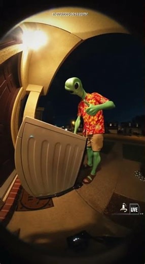 Ring Doorbell Alien Delivery