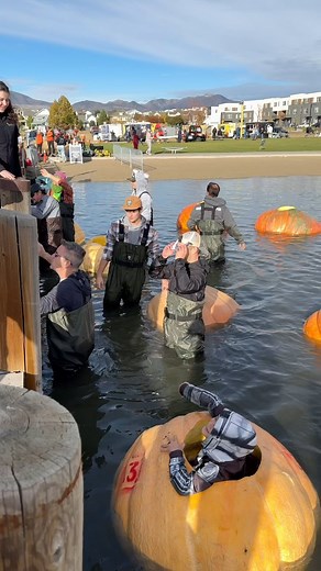 16K views · 28 reactions | Want to grow a giant pumpkin? Here are...