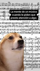 17K views · 2.9K reactions | Amigos, hice mi primer meme #músicaclásica #musicos #musicianshumor #humormusical #beethoven | Arte Viral | Facebook