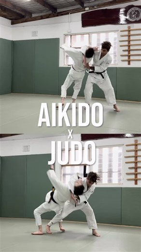 Luca Rebuffel 🇦🇺 | A few variations of some Aikido x Judo combinations. 🔥 These principles are in Judo alone, but the Iriminage from Aikido provides some... | Instagram