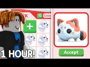 Starting Over In Adopt Me SUGAR FESTIVAL!