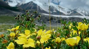 5K views · 88 reactions | La mayor parte del hielo y la nieve en la...