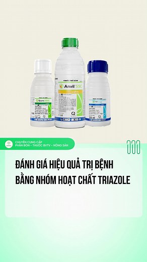 Hiệu quả trị bệnh với Triazole trong nông nghiệp