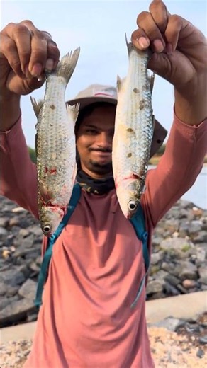 water bottle fishing | telugu fishing video | maida bottle food| mullet fish catching. #fishing
