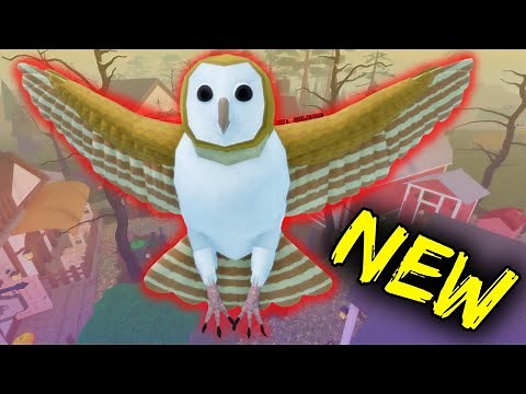 New OWL and FALCON on Feather Family!