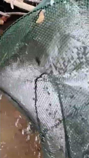 This one's pretty cool too.