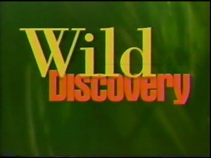 Wild Discovery: The Story of America's Great Volcanoes — 1995