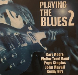 Various - Playing The Blues 2